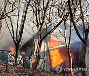 광양의 한 목재공장서 불..인명피해 없어(종합)