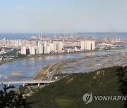 포항 부동산 실거래법 위반자 40명 적발..과태료 부과