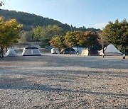 경기도, 축구장 5개 면적 산지 불법 훼손 51명 적발