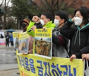 "개식용 금지하라" 동물보호법 개정안 신속 처리 촉구 기자회견