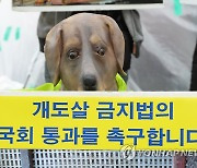 동물보호법 개정안 신속 처리 촉구 기자회견