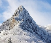 [오늘의 날씨] 제주(1일, 수)..산지에 눈·낮 최고 12도