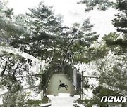 치악산국립공원 '3차원 고정밀지도'로 볼 수 있다..공간정보 자료 구축