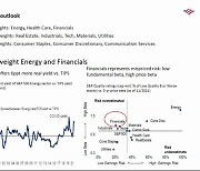 BoA도 JP모건도 "내년엔 대형주보다 소형주 담아야..에너지 섹터 유망"