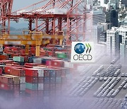 OECD, 내년 한국 성장률 3.0%로 상향
