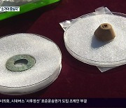 고성 동외동 패총 발굴.."소가야 활동 중심"