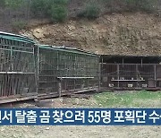용인서 탈출 곰 찾으려 55명 포획단 수색 재개