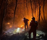 양산국유림관리소, 2022년 산불재난특수진화대 모집