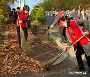 청주 사직2동 통장협, 낙엽 청소