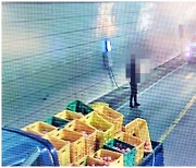 진안 불로치 터널 내부서 사과트럭-승용차 '쾅', 1명 부상..사과가 '와르르'