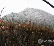 [내일날씨] 오전 전국 곳곳 눈·비..미세먼지 양호