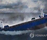 울릉 해상서 풍랑경보 속 외국화물선 침몰..선원 17명 극적 구조