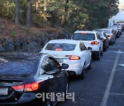 [포토]코로나19 검사를 기다리는 차량들