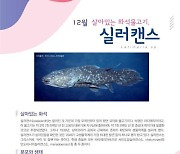 부산시 해양자연사박물관 12월 전시품으로 '실러캔스' 선정