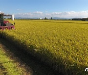 곡물 3.1%·유제품 3.4% 올라..세계식량가격지수 10년만 최고치