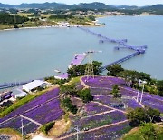 UNWTO '최우수 관광 마을', 신안 퍼플섬·고창 고인돌.운곡습지마을 선정