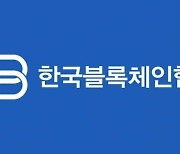 한국블록체인협회 "가상자산 과세 유예 환영..공제 한도는 늘려야"