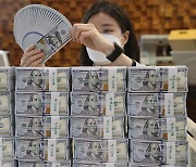 S. Korea's FX reserves contract for first time in 5 months in November