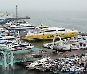 "서해상 높은 파도" 인천~도서지역 잇는 일부 항로 통제