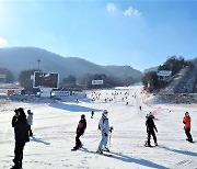 하얀 눈 즐기는 스키·보더 마니아들