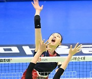 양효진,'나비처럼 날아올라' [사진]