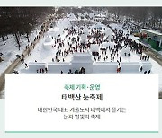 태백산 눈축제 취소.."코로나19 상황 엄중"