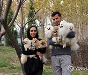 IRAN LAW HOME PETS
