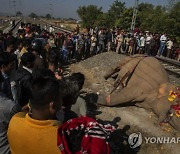 APTOPIX India Wild Elephant Killed