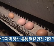 대구지역 생산·유통 달걀 안전 기준 '적합'