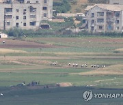 북한, 겨울 맞아 밀·보리 농사에 초점.."조건 탓 말라"