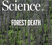 [표지로 읽는 과학]현대 임업의 발상지, 기후변화로 새 산림 관리법 찾는다