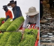 남진복 도의원, "농어업 보조예산 삭감은 농어업의 공익적 가치 퇴색시킨 것" 질타