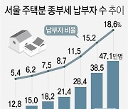 [그래픽] 서울 주택분 종부세 납부자 수 추이