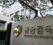 금감원, '2021년 온라인 회계 현안 설명회' 개최