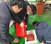 바다없는 충북서 연어 양식..도, 산업화 연구 본격 시작