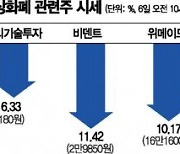 코인 폭락에 관련주 흔들..韓도 美도 '왝더독' 현상