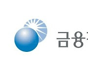 금감원, 20일 외부감사인 대상 회계현안설명회