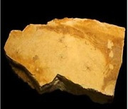 지질유산(화석·암석) 표본·정보, 국민과 공유