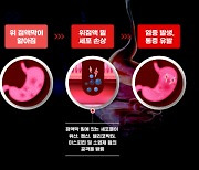 한국인 위암 발병률 '세계 1위'.. 40대부터 무섭게 늘어 중년의 위가 위태롭다