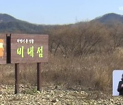 '생태계 보고' 남한강 비내섬, 습지보호구역 지정