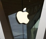 "애플 목표가 191달러..서비스 성장 기대"