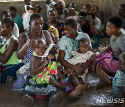 지난해 말라리아로 62.7만명 사망.."코로나에 집중하느라 7만명 증가"
