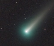 [아하! 우주] 7만 년 만에 온 손님..레너드 혜성, 밤하늘 드리운다