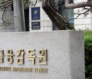 금감원, 한공회와 '온라인 회계 현안 설명회' 개최