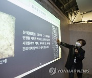 국립중앙도서관, '원당 심우준 교수 기증전' 특별전시 개막
