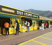 농산물 직거래장터 '장성호 수변길마켓' 농가소득 증대 한몫..매출 3억