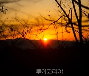 임인년, 호랑이 기운 받을 수 있는 서울 해돋이 명소 4