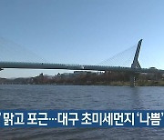 대구·경북 '대설' 맑고 포근..대구 초미세먼지 '나쁨'
