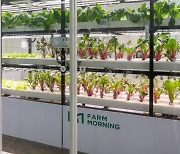 그린랩스, 농작물 재배법 탑재한 완전제어형 식물공장 개발