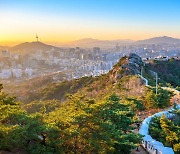 새해 호랑이 기운 받는 서울 해돋이 명소 "범 내려온다"